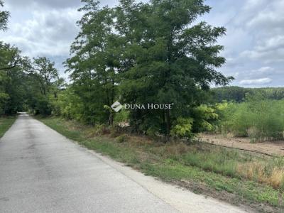 Eladó külterületi telek Monor
