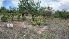 Eladó nyaraló Miskolc