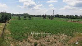 Eladó lakóövezeti telek Gyula