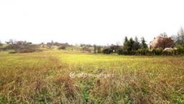 Eladó lakóövezeti telek Nyúl