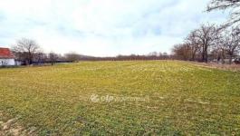 Eladó lakóövezeti telek Csemő