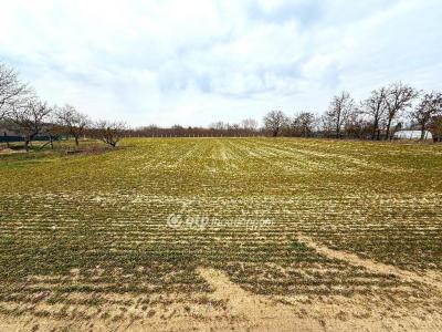 Eladó egyéb telek Csemő