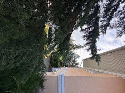 Eladó családi ház Budapest