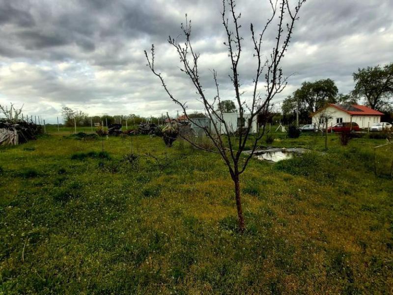 Eladó nyaraló Szigetcsép