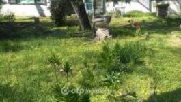 Eladó családi ház Szeged