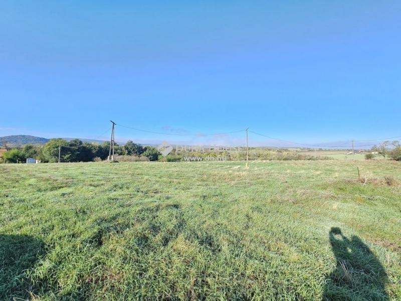 Eladó külterületi telek Pázmánd