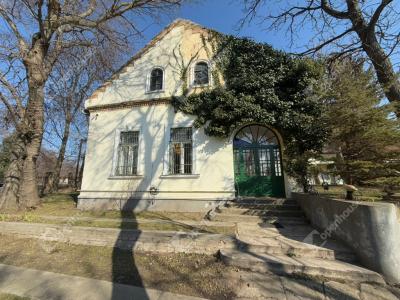 Eladó kastély Albertirsa