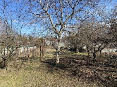 Eladó családi ház - 2230 Gyömrő