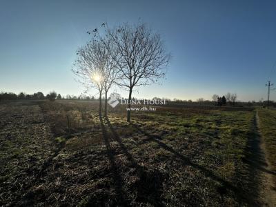 Eladó külterületi telek Balatonvilágos