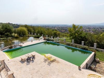 Eladó kastély Vác