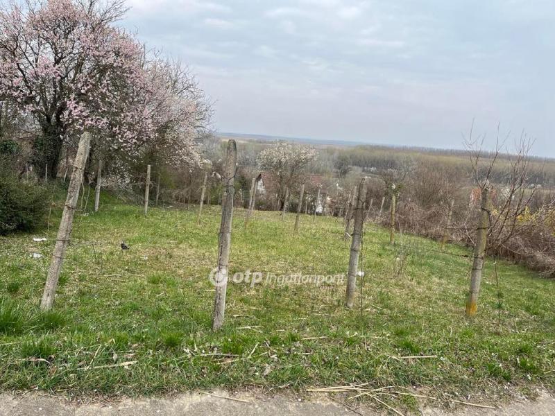 Eladó külterületi telek Szekszárd