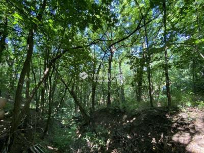 Eladó külterületi telek Fót