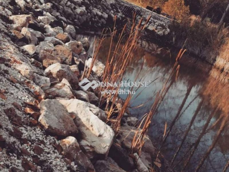 Eladó külterületi telek Őrbottyán