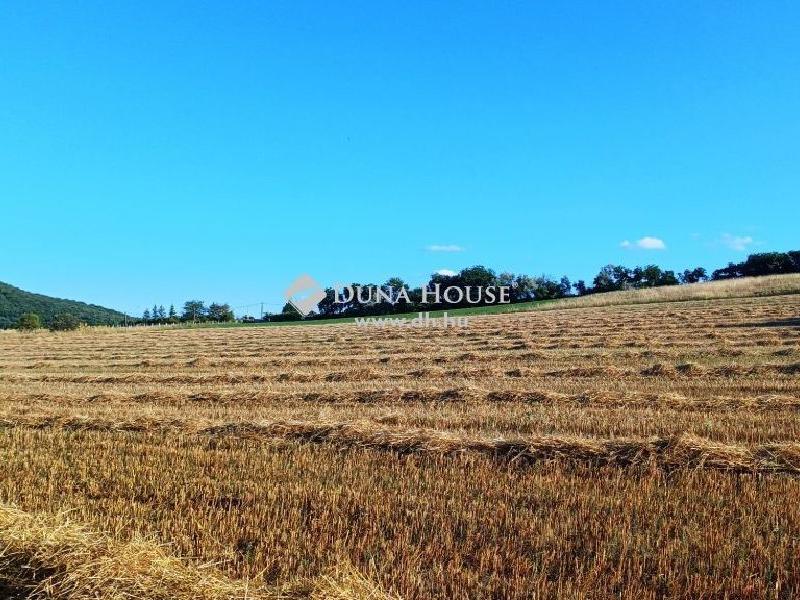 Eladó külterületi telek Fót