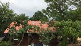 Eladó külterületi telek Fót