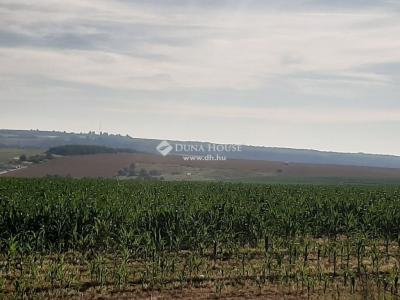 Eladó külterületi telek Pécel