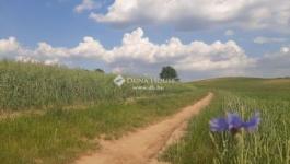 Eladó külterületi telek Pécel