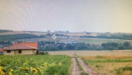 Eladó külterületi telek Pécel