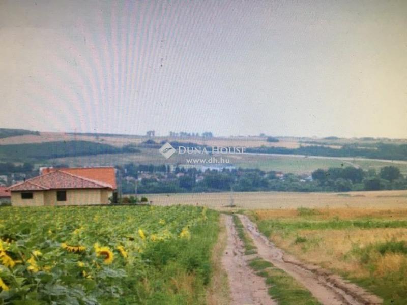 Eladó külterületi telek Pécel