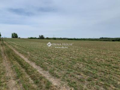 Eladó külterületi telek Pécel