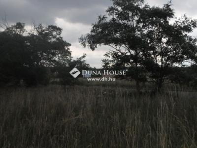 Eladó külterületi telek Szada