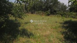 Eladó külterületi telek Szada