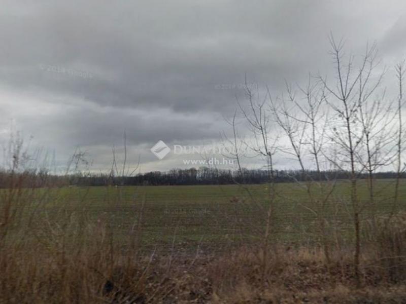 Eladó külterületi telek Fót