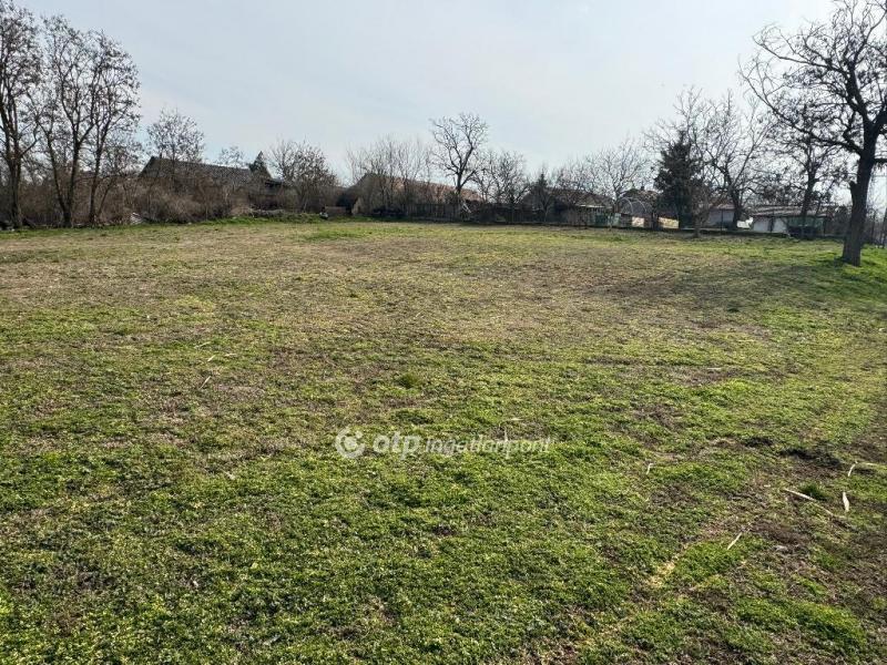 Eladó lakóövezeti telek Tiszafüred Tiszaszőlős