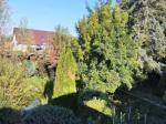 Eladó családi ház Miskolc