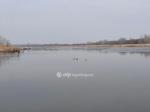 Eladó nyaraló Fadd