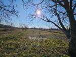 Eladó nyaraló Tiszajenő