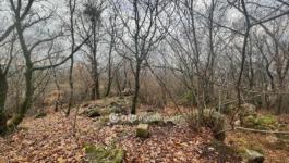 Eladó nyaraló Budapest