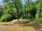 Eladó lakóövezeti telek Budapest