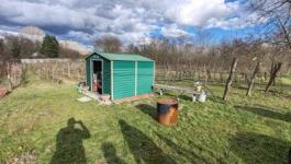 Eladó mezőgazdasági Csongrád