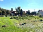 Eladó lakóövezeti telek Zalaegerszeg