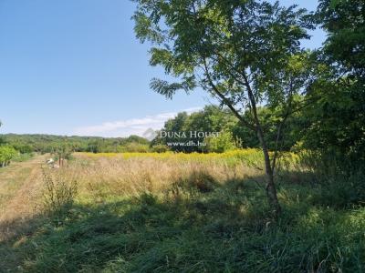 Eladó külterületi telek Balatonberény