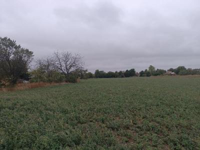 Eladó lakóövezeti telek Iváncsa