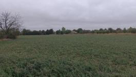 Eladó lakóövezeti telek Iváncsa