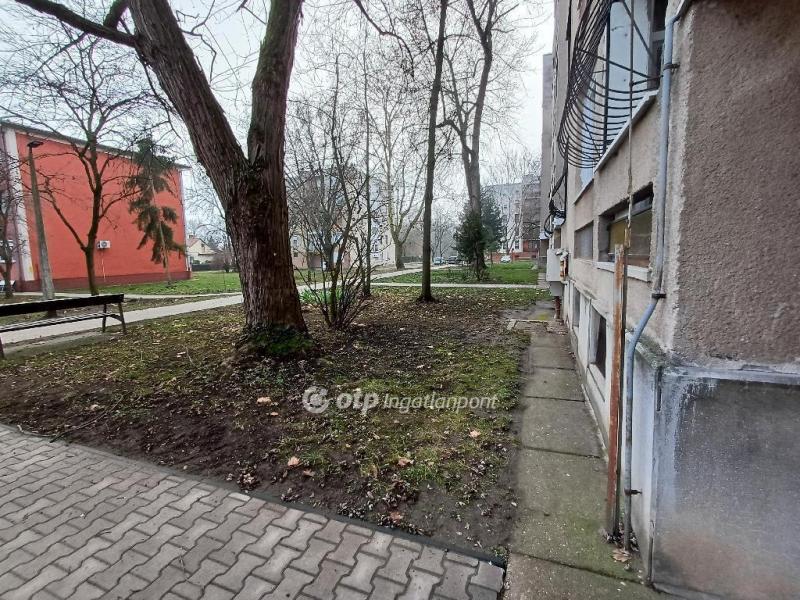 Eladó lakás Tiszavasvári