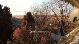 Eladó családi ház Páty