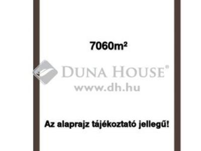 Eladó külterületi telek Délegyháza