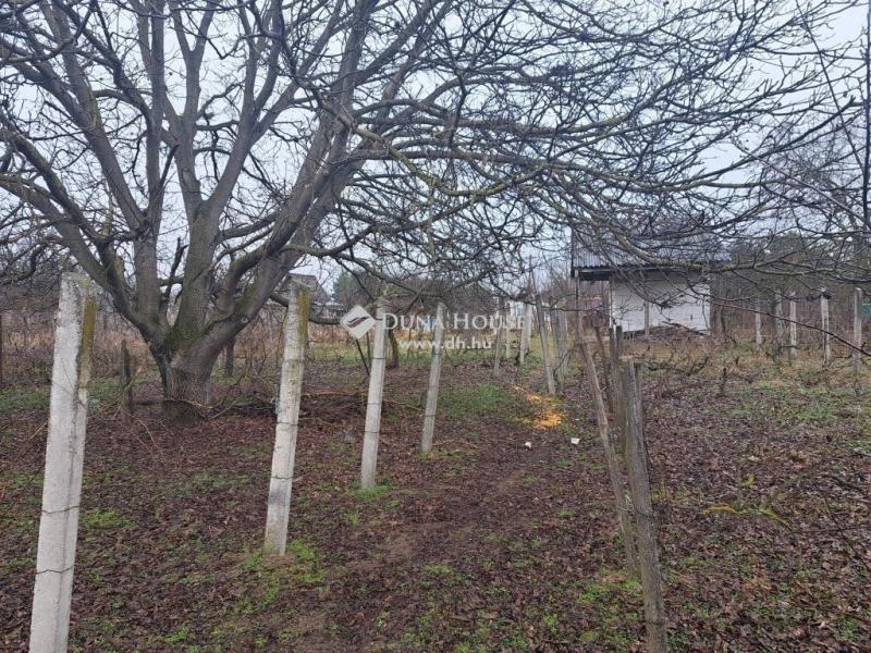 Eladó pince, présház Monor