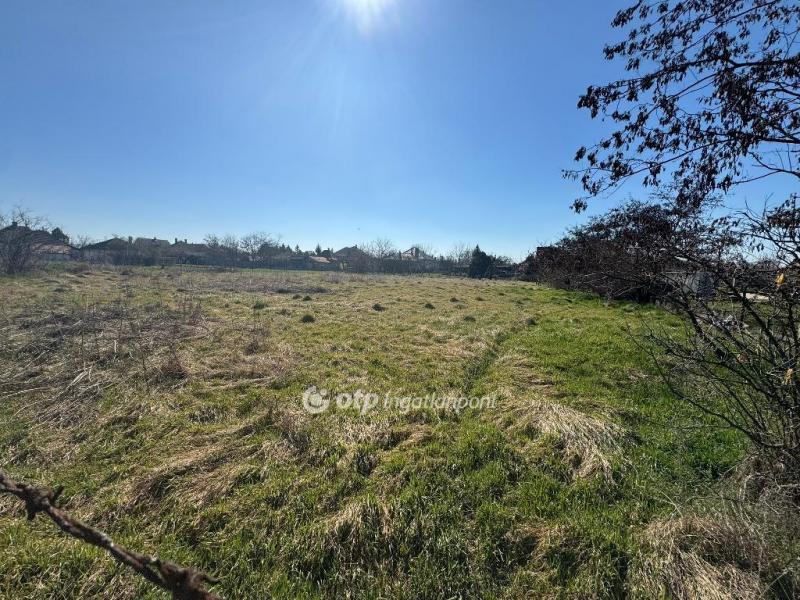Eladó lakóövezeti telek Poroszló