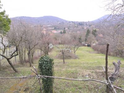 Eladó egyéb telek Pomáz