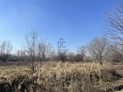 Eladó külterületi telek Budapest