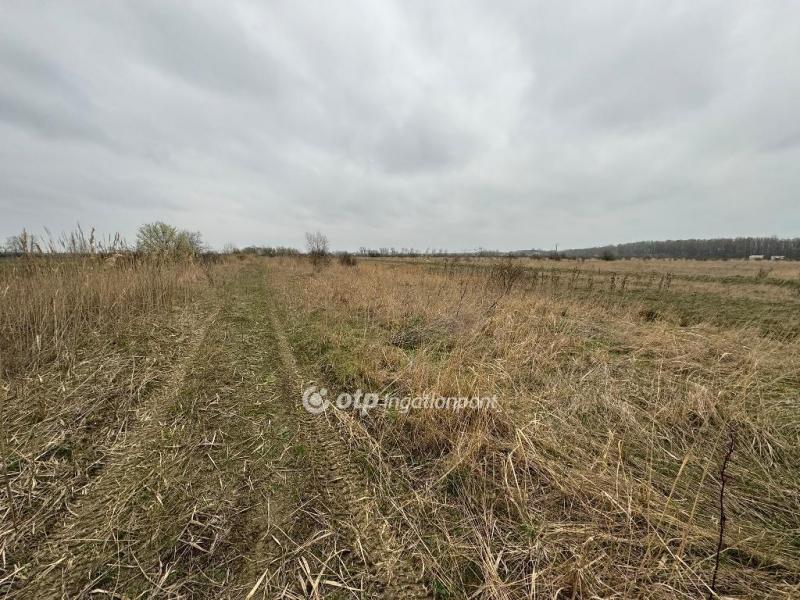 Eladó üdülőövezeti telek Kisköre