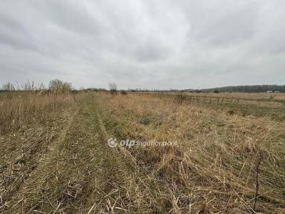 Eladó üdülőövezeti telek Kisköre