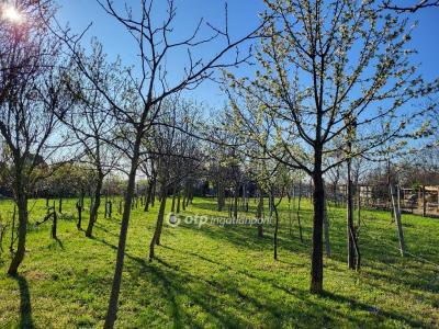 Eladó nyaraló Siófok