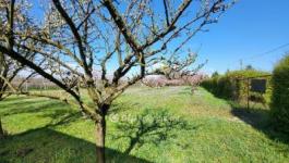 Eladó lakóövezeti telek Siófok