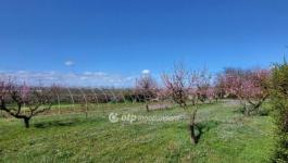 Eladó lakóövezeti telek Siófok